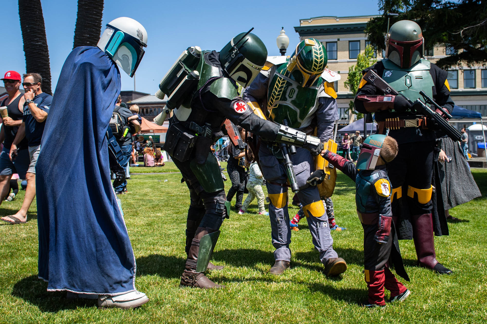 May the Forest Be With you